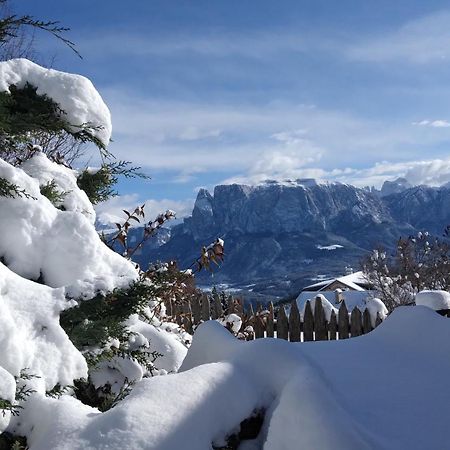 Oberpfaffstallerhof Collalbo Bagian luar foto