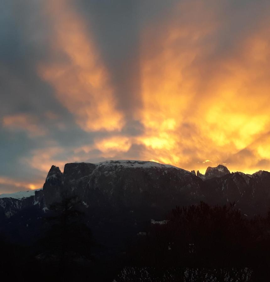 Oberpfaffstallerhof Collalbo Bagian luar foto