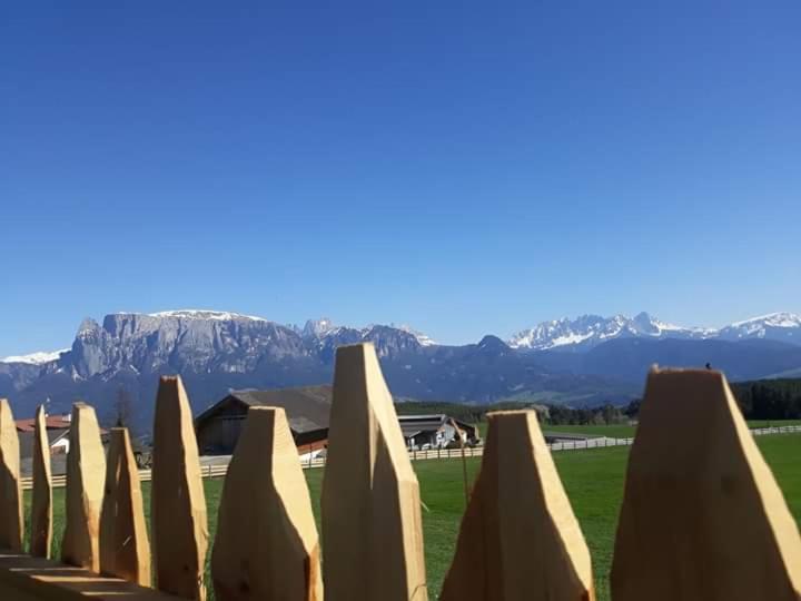 Oberpfaffstallerhof Collalbo Bagian luar foto