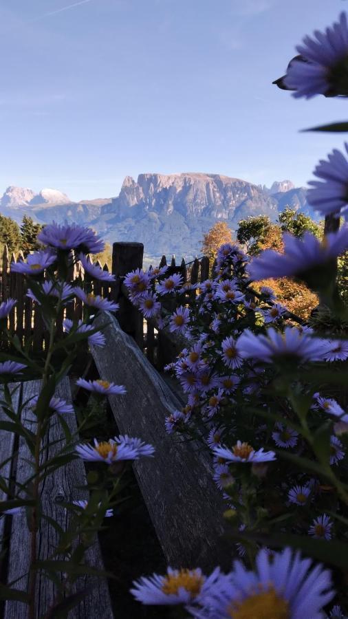 Oberpfaffstallerhof Collalbo Bagian luar foto
