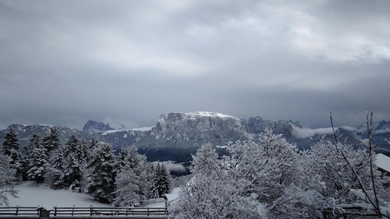 Oberpfaffstallerhof Collalbo Bagian luar foto