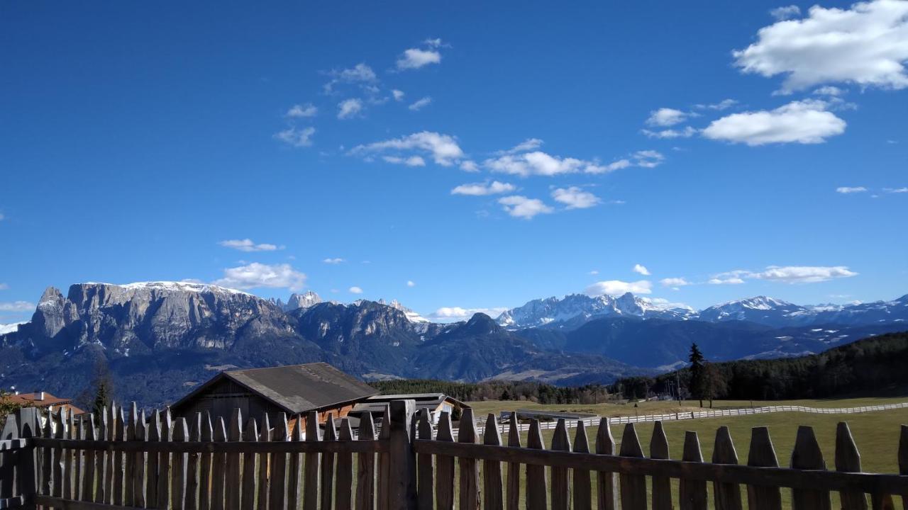 Oberpfaffstallerhof Collalbo Bagian luar foto