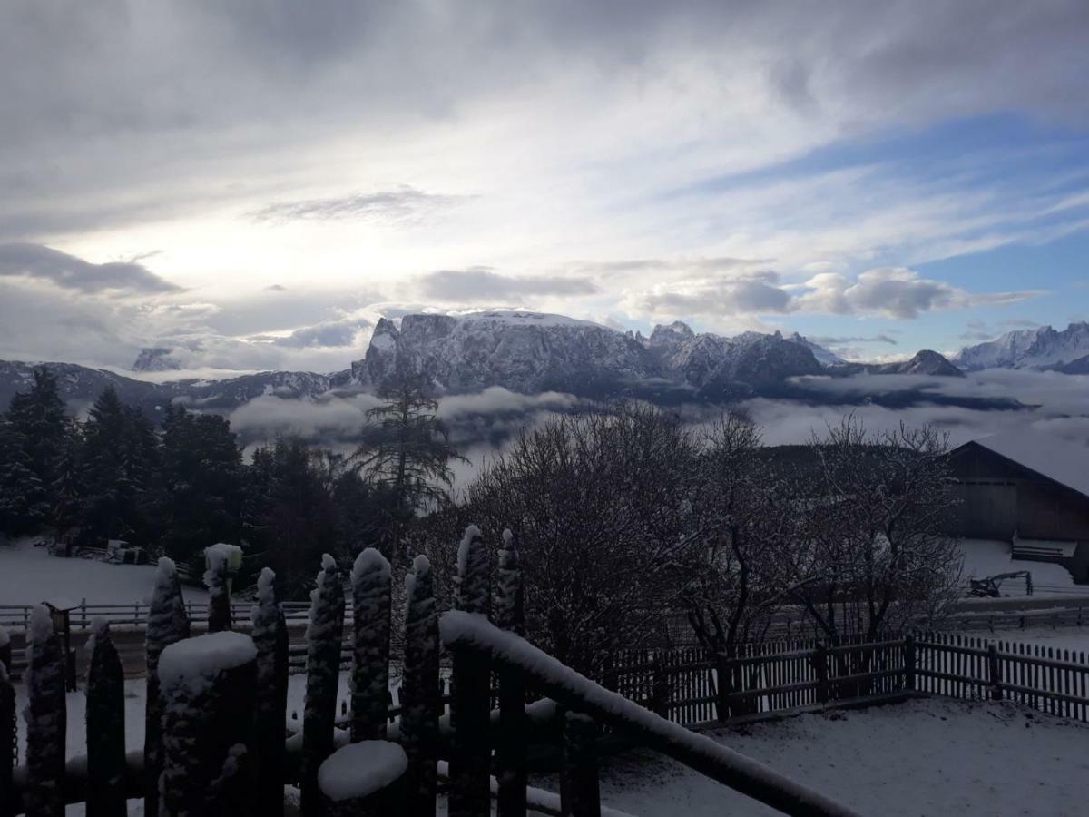 Oberpfaffstallerhof Collalbo Bagian luar foto
