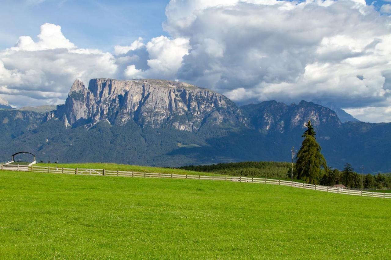 Oberpfaffstallerhof Collalbo Bagian luar foto