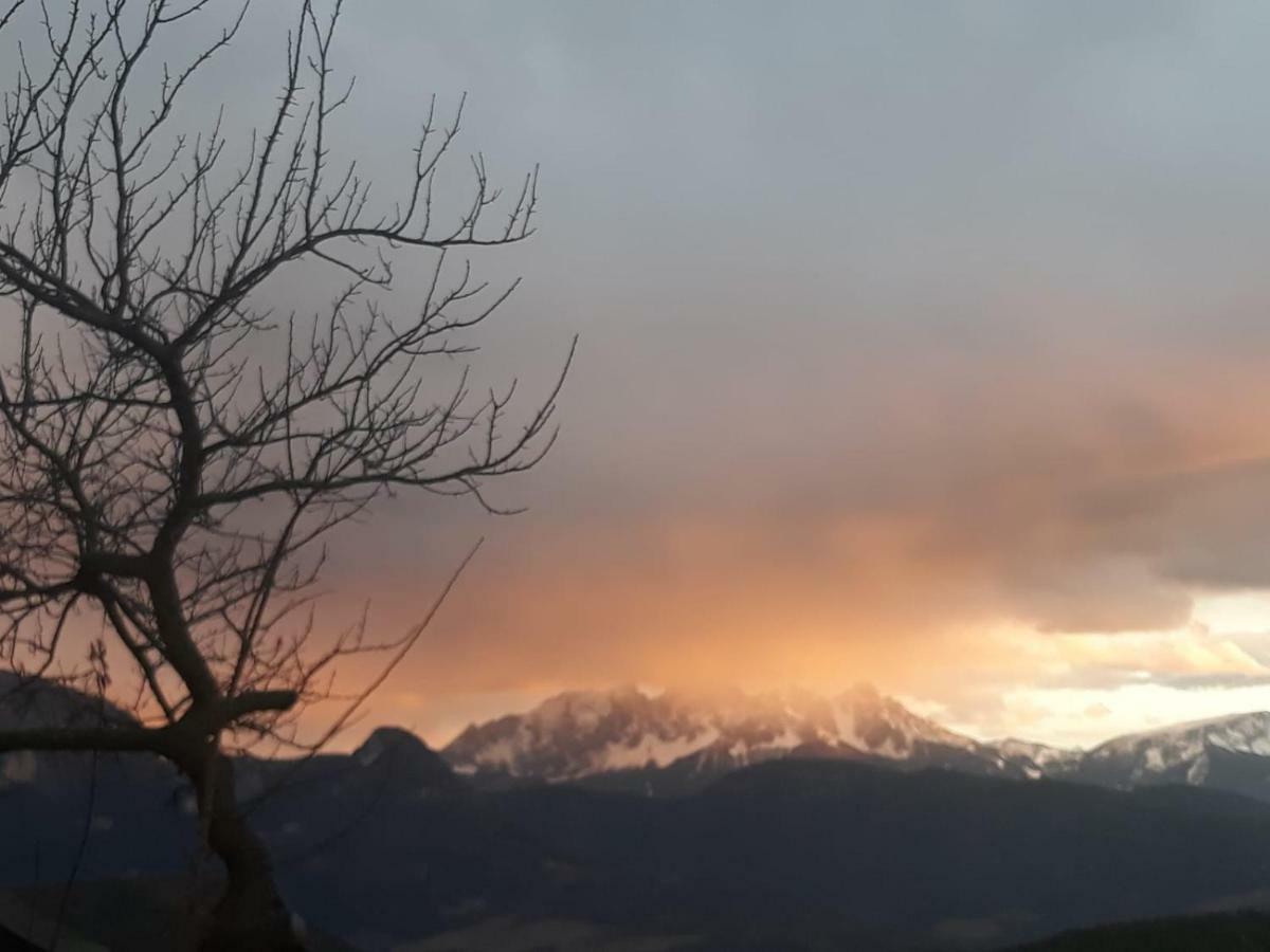 Oberpfaffstallerhof Collalbo Bagian luar foto