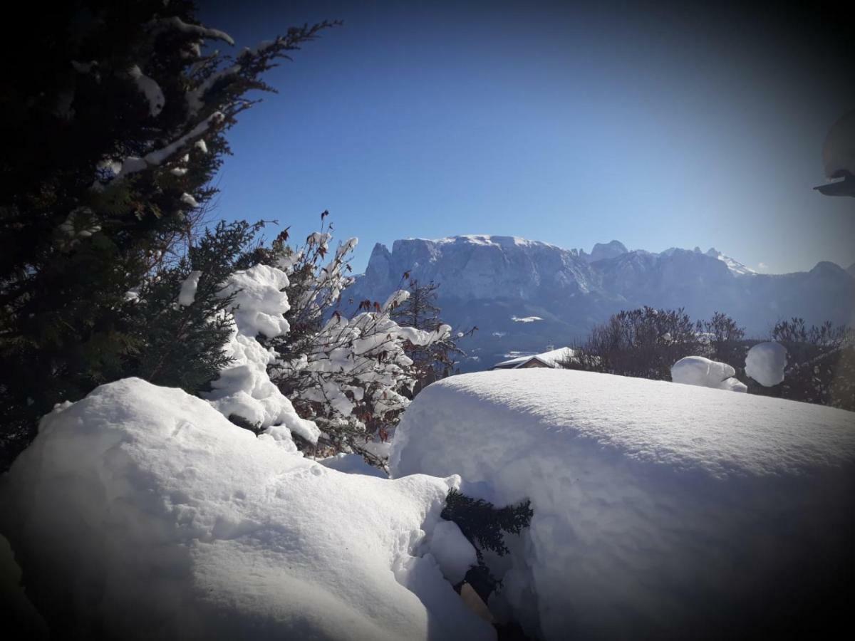 Oberpfaffstallerhof Collalbo Bagian luar foto
